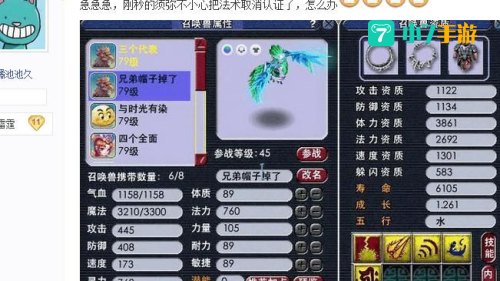 梦幻西游雷鸟人饰品