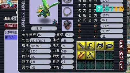 梦幻西游雷鸟人饰品