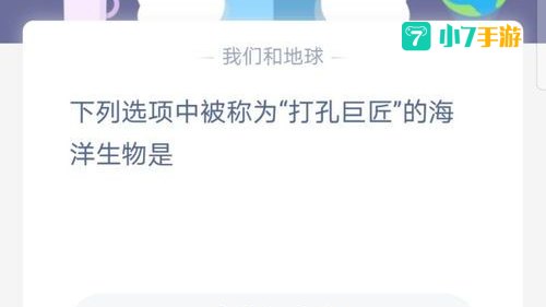 被称为打孔巨匠